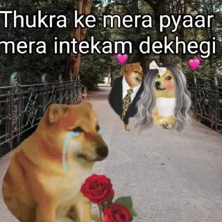 😭 emoji Muskan 🗿 Telegram sticker 23 of 37