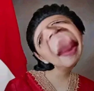 🖕 emoji PUAN Telegram sticker 13 of 15