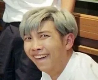 🧇 emoji namjoon meme Telegram sticker 21 of 48