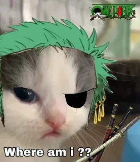 Sticker from Zoro's kang pack
