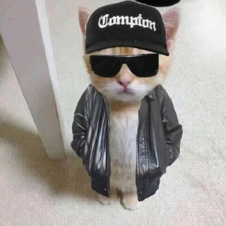 🌟 emoji pussy cats! Telegram sticker 8 of 40