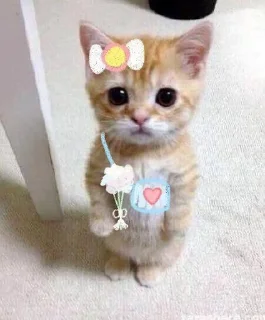 🌟 emoji pussy cats! Telegram sticker 7 of 40