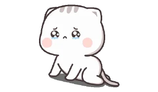 🌟 emoji cutie cat-chan Telegram sticker 12 of 50