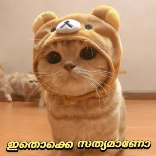 😁 emoji @am_DQ_fan Vol.3 Telegram sticker 8 of 45