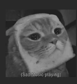 🌟 emoji HEY meown🎀 @by_koyuki Telegram sticker 24 of 50