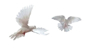 🕊 emoji Vintagic – @inmcjhome Telegram sticker 5 of 20