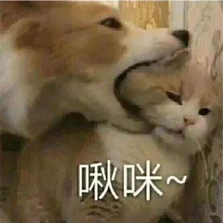 Sticker from 伊蕾娜是沙耶的-表情包