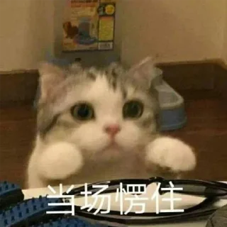 Sticker from 伊蕾娜是沙耶的-表情包