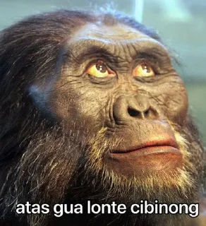 🥰 emoji jamet purba — @KCNDCM Telegram sticker 13 of 19