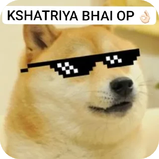 🐶 emoji @KSHATRIYA_OP's PACK 🌞 Telegram sticker 5 of 119