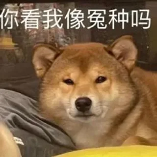 🌟 emoji 自此鲜花赠自己   @xixiu_qiangwei Telegram sticker 21 of 120