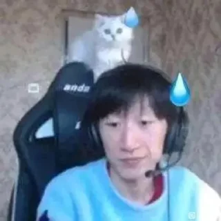 😅 emoji 电棍otto@doge159753 Telegram sticker 7 of 16