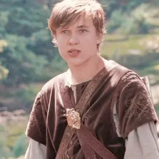 🍁 emoji ꜜ ᩠  ꉂ ִֶָ  peter pevensie  ࣪ ͎ @sweetymillsㅤ Telegram sticker 17 of 48
