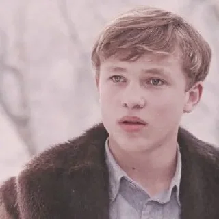 🍁 emoji ꜜ ᩠  ꉂ ִֶָ  peter pevensie  ࣪ ͎ @sweetymillsㅤ Telegram sticker 6 of 48