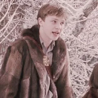 🍁 emoji ꜜ ᩠  ꉂ ִֶָ  peter pevensie  ࣪ ͎ @sweetymillsㅤ Telegram sticker 11 of 48