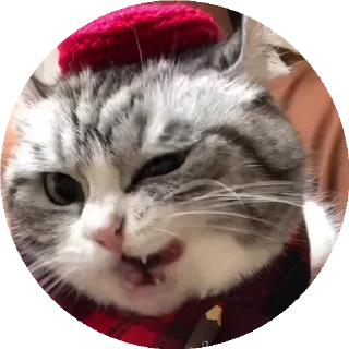 😺 emoji все стикеры тут: @stickersde Telegram sticker 22 of 37