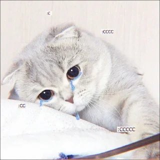 🐈 emoji punya@Rin1021 Telegram sticker 6 of 57