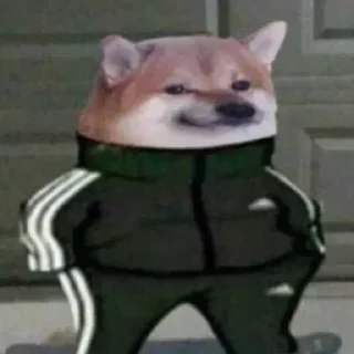 sniper pack #memes sticker 3