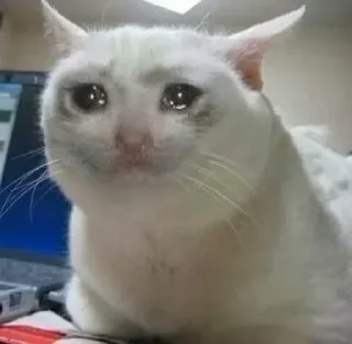 😢 emoji Serious cat by Dka Telegram sticker 4 of 10