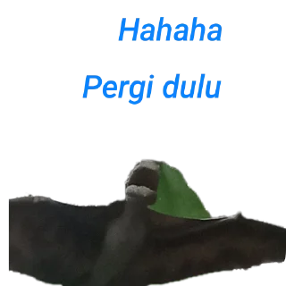 🌿 emoji My meme Telegram sticker 13 of 19