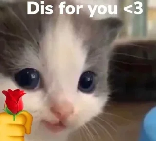 😺 emoji miw meme :: @kozume_chiya Telegram sticker 23 of 35