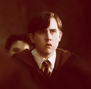 🍂 emoji Neville Longbottom @POTTERHOUSE Telegram sticker 17 of 31