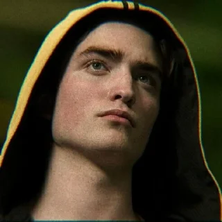 🦝 emoji Cedric Diggory @alohom0ra Telegram sticker 1 of 24