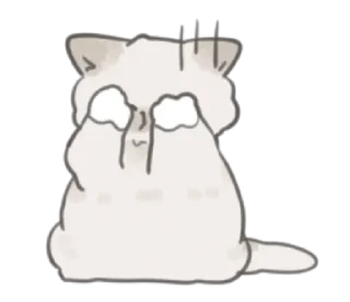 🐈 emoji ،، 🏩 ➭ @dinoesie ♡̸₊˚ ִֶָ Telegram sticker 23 of 40
