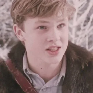 🍁 emoji ꜜ ᩠  ꉂ ִֶָ  peter pevensie  ࣪ ͎ @sweetymillsㅤ Telegram sticker 20 of 48