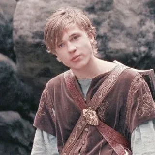 🍁 emoji ꜜ ᩠  ꉂ ִֶָ  peter pevensie  ࣪ ͎ @sweetymillsㅤ Telegram sticker 14 of 48