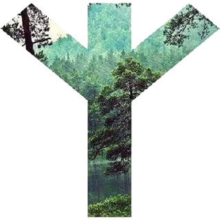 🌳 emoji Religious Infighting Telegram sticker 17 of 116
