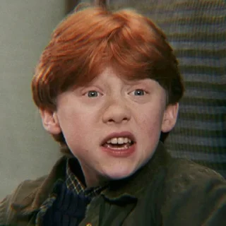 🦁 emoji Ronald Weasley @alohom0ra Telegram sticker 13 of 46