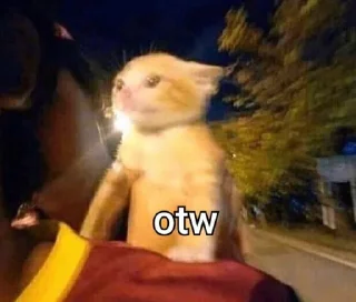 Sticker from memew