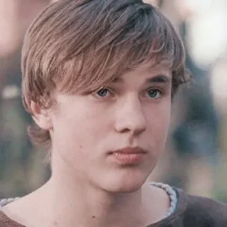Sticker from ꜜ ᩠  ꉂ ִֶָ  peter pevensie  ࣪ ͎ @sweetymillsㅤ