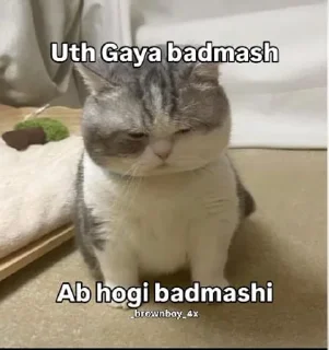 🙂 emoji guddu Telegram sticker 22 of 74