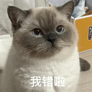 Sticker from 福利精选@videosharesex