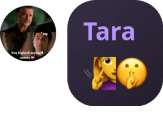 🧏‍♀️ emoji Tara Telegram sticker 16 of 27