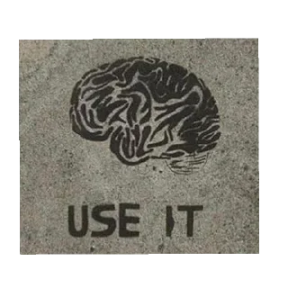 🧠 emoji Stolen from Piu Telegram sticker 19 of 91
