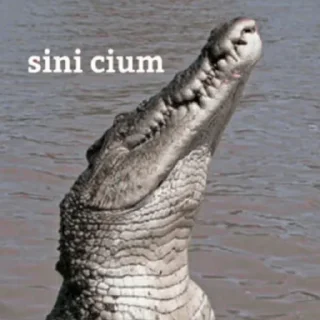🐊 emoji Peliharaan Drexon - By @FVCK00PRIDE Telegram sticker 8 of 15