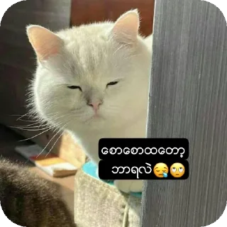 👍 emoji Funny contact Telegram sticker 9 of 12