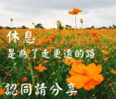 😊 emoji 長輩圖 Telegram sticker 10 of 33