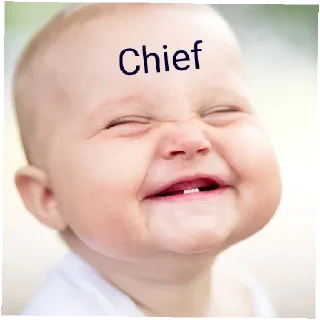 😄 emoji Chief Telegram sticker 23 of 43