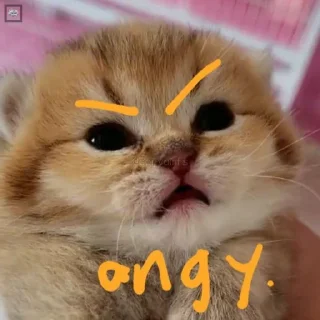 🤬 emoji rn :3 Telegram sticker 2 of 38