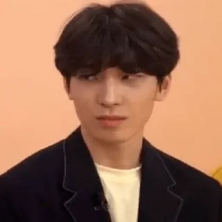 Sticker from Seventeen Derp