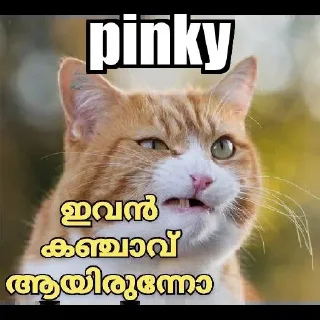 😂 emoji @Archana_38 Vol.20 Telegram sticker 18 of 120