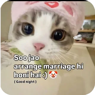 😀 emoji Arpit prajapati 🫡 don't use without permission Telegram sticker 23 of 64