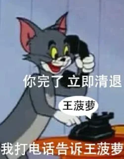 Sticker from 我服务器是PoloCloud