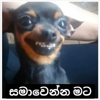 😭 emoji Tempary pac Telegram sticker 5 of 13