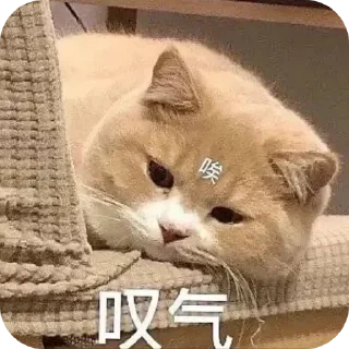 🐱 emoji 给月月用 Telegram sticker 17 of 49