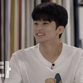 🐯 emoji — mark lee ˖࣪ ·﹆ @gicelyra Telegram sticker 14 of 50